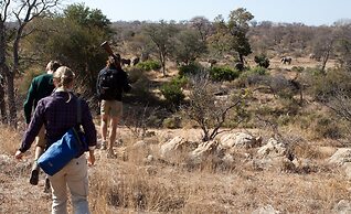 Kingfisher Creek Safari Lodge