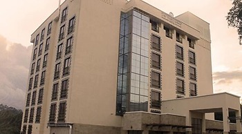 The White Rhino Hotel