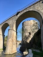 Les Asphodeles