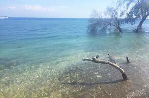 Maleo Moyo Seaside Resort