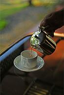 Dew Drops Farm Resorts