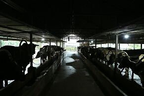 Dew Drops Farm Resorts