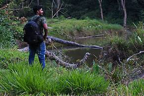 Dew Drops Farm Resorts