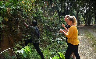 Dew Drops Farm Resorts