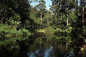 Dew Drops Farm Resorts