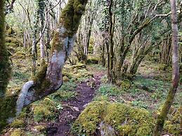 Burren Bushcraft - Camping & Adventures