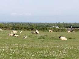 Burren Bushcraft - Camping & Adventures