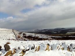 Burren Bushcraft - Camping & Adventures