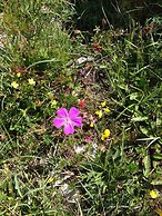 Burren Bushcraft - Camping & Adventures