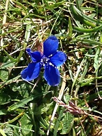 Burren Bushcraft - Camping & Adventures