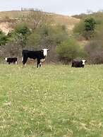 Burren Bushcraft - Camping & Adventures