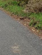 Burren Bushcraft - Camping & Adventures