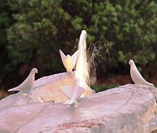 Villa Dubelj Dubrovnik