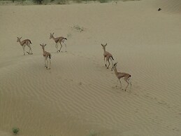 Dhora Desert Resort & Spa By Eight Continents