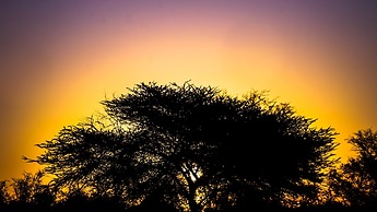 Dhora Desert Resort & Spa By Eight Continents