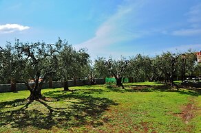 Sunday Summer Resort