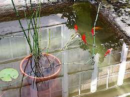 Casa Grande de Trives