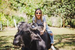 Eco Hotel Villa Martha