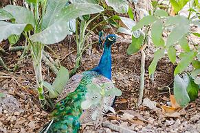 Eco Hotel Villa Martha