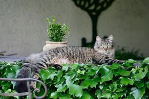 Chambre d'Hôtes La Villa Molina