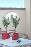 Beautiful Ronco Loft