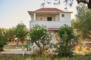 Villa Rania Zante Drosia