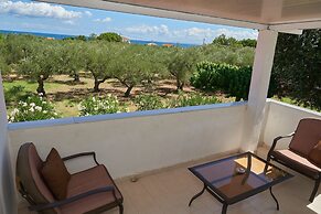 Villa Rania Zante Drosia