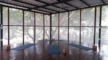 Drift Away Eco Lodge