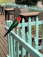 The Goat and Goose B&B