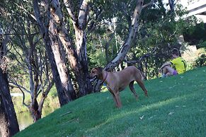 Bridge Motel Wellington
