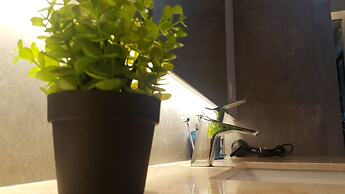 Atlantis Pool Villa Ipoh