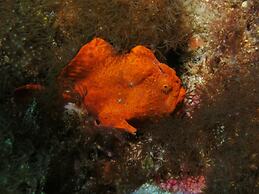 Bonita Oasis Beach Resort