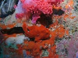 Bonita Oasis Beach Resort