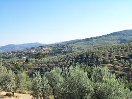 Agriturismo Il Colle