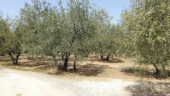 Agriturismo Il Colle