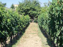 Agriturismo Il Colle