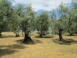 Agriturismo Il Colle