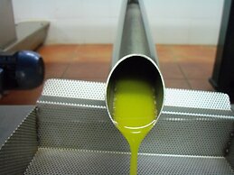 Agriturismo Il Colle