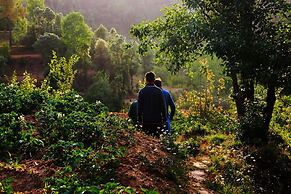The Chirping Orchard