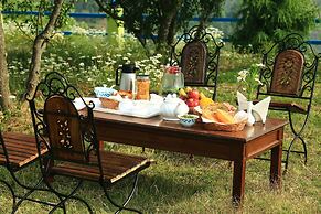 The Chirping Orchard