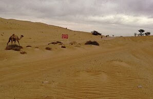 Sand Delight Desert Camp