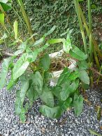 Mambembe Hostel - Ilha Grande