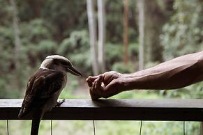 Carawirry Forest Escape