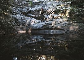 Carawirry Forest Escape