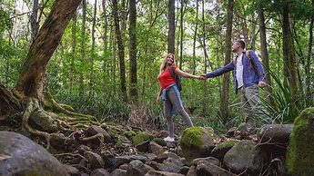 Carawirry Forest Escape