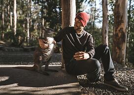 Carawirry Forest Escape