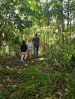 Carawirry Forest Escape