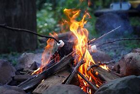 Carawirry Forest Escape