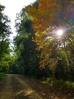 Carawirry Forest Escape