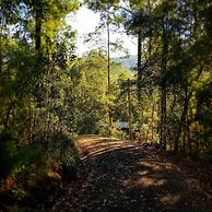 Carawirry Forest Escape